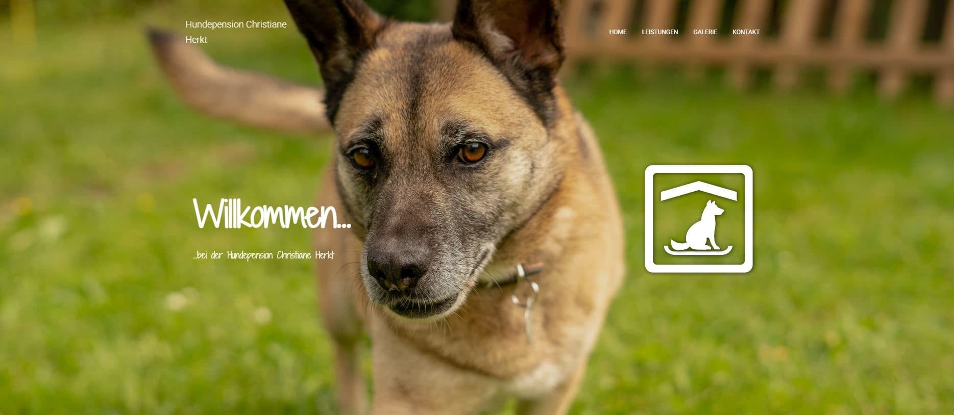 Hundepension Christiane Herkt – Projektvorschau